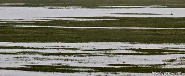 SRBIJA POPLAVE SRBIJA POPLAVE