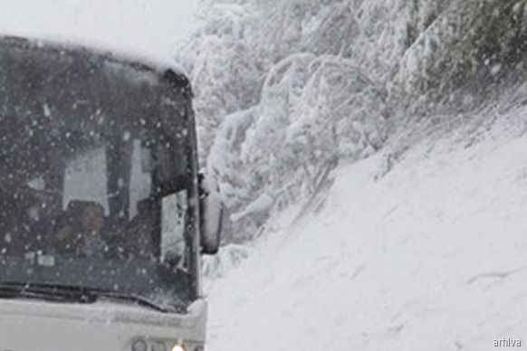 autobus1sneg