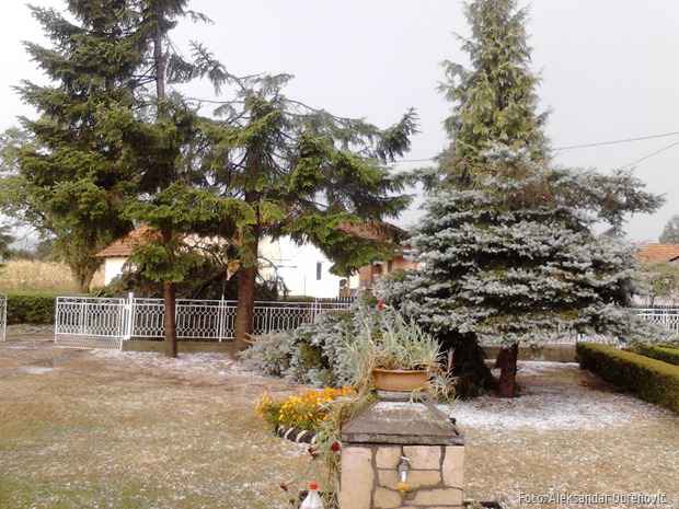 Foto: Aleksandar Obrenović