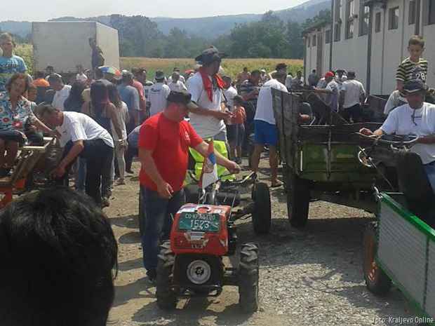 Frezijada 2015  2