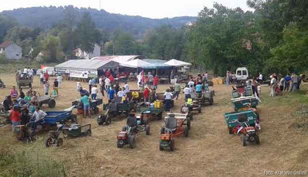 Frezijada 2015  3