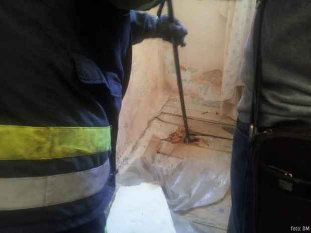 Zmije u septembru Kraljevo rupa