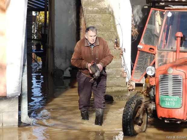 Poplave koko&scaron;ka