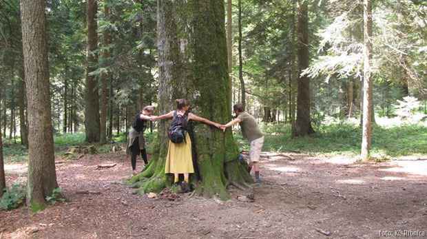 KC Ribnica &scaron;ta nedostaje 1