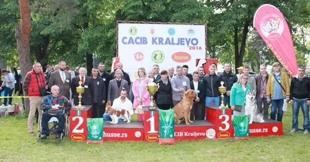 Cacib Kraljevo 2016