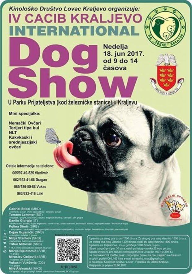 Dog show 2017.