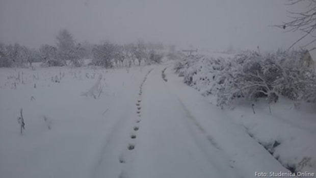 Bzovik sneg 24102017