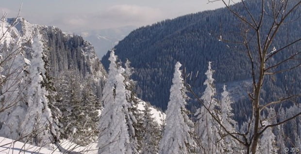 Kopaonik zima NP Kopaonik