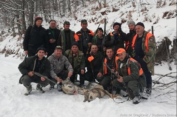 Lovci i vukovi dec 2018 foto Studenica Online