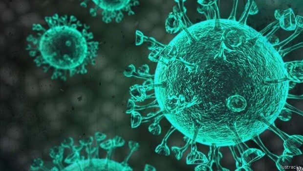 Virus Korona 3 Virus Korona 3