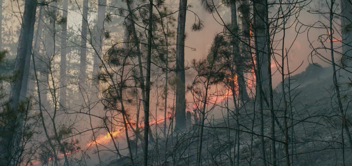 Sektor za vanredne situacije Ministarstva unutrašnjih poslova apeluje na sve građane da ne spaljuju travu i nisko rastinje na otvorenim prostorima i da ne lože vatru u šumi i po obodima šuma, zbog opasnosti širenja požara koje može da ugrozi živote građana i da nanese velike materijalne štete.